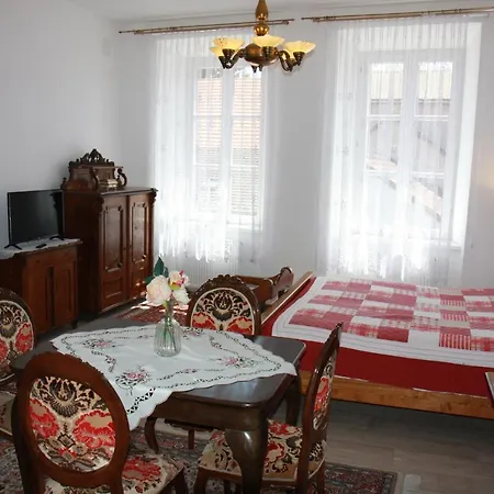 公寓 Papik Nová Bystřice