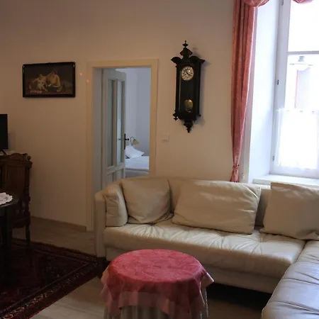 Papik Nová Bystřice